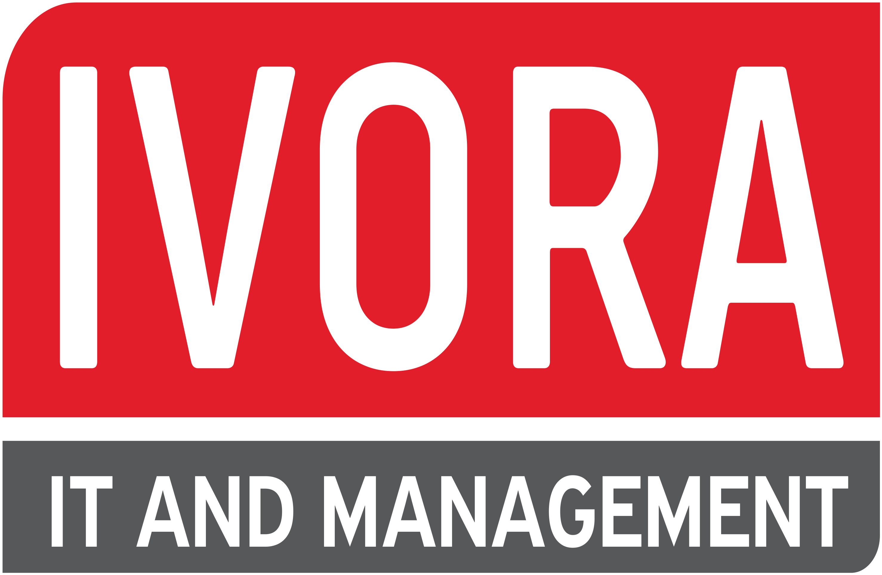 Ivora — IT and Management